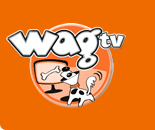 greatglobalwarmingswindle - ICON